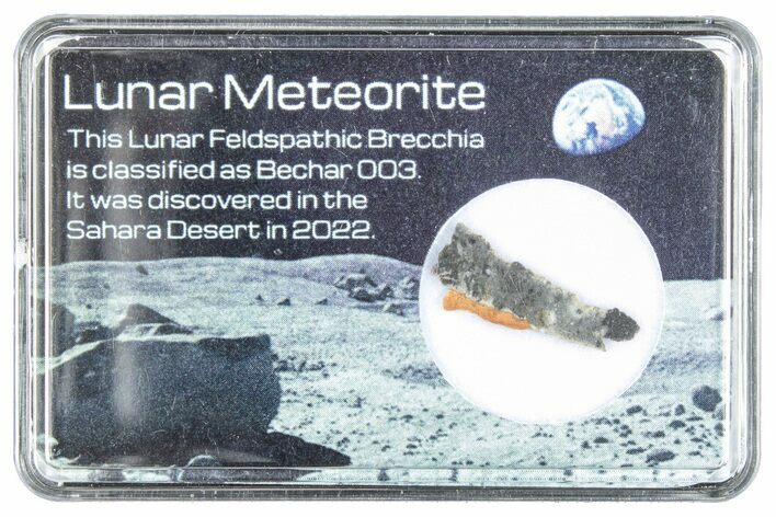 Polished Lunar Meteorite Slice ( g) - Bechar #288430